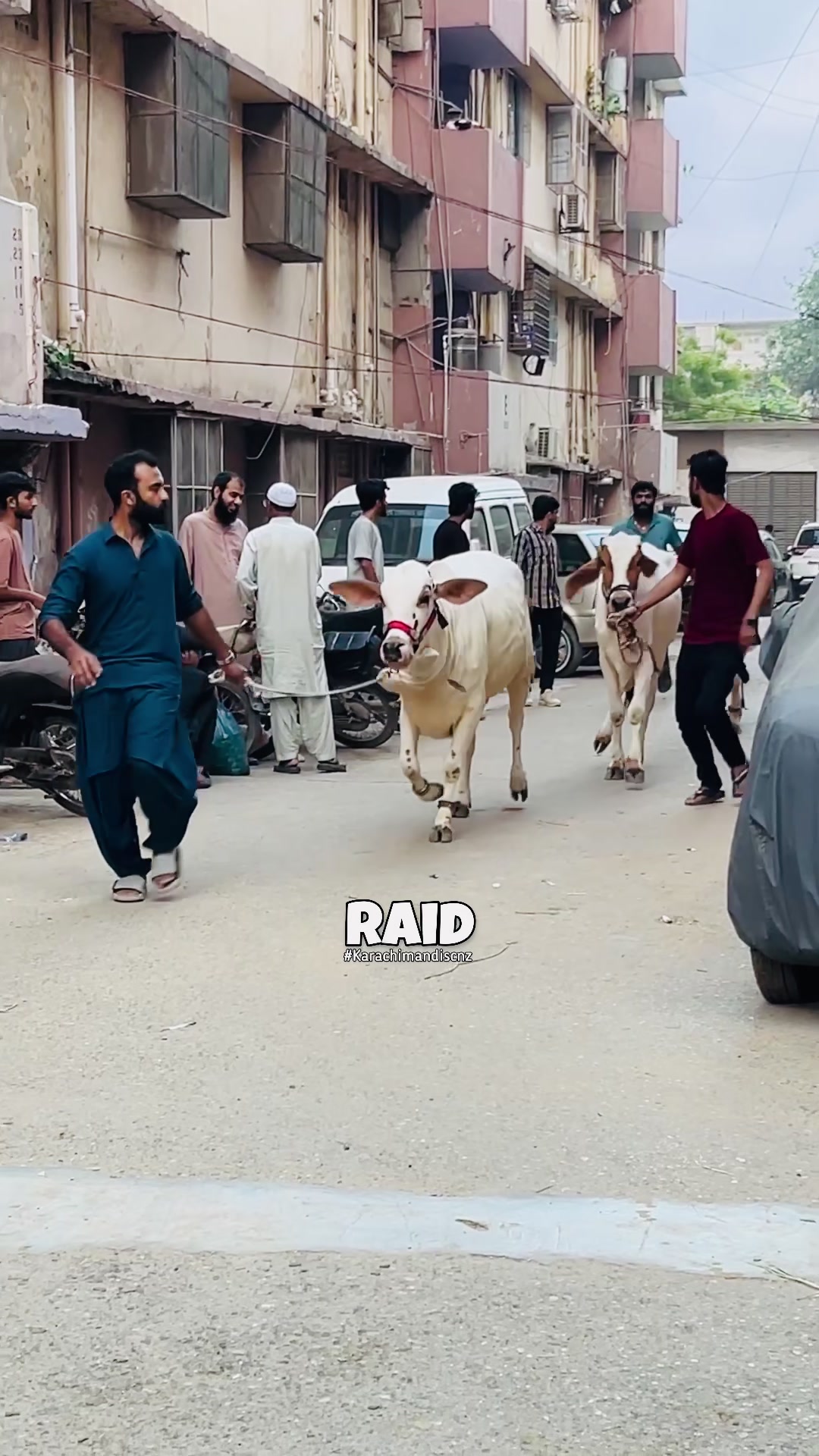 @Raid by Karachi Mandi Scnz