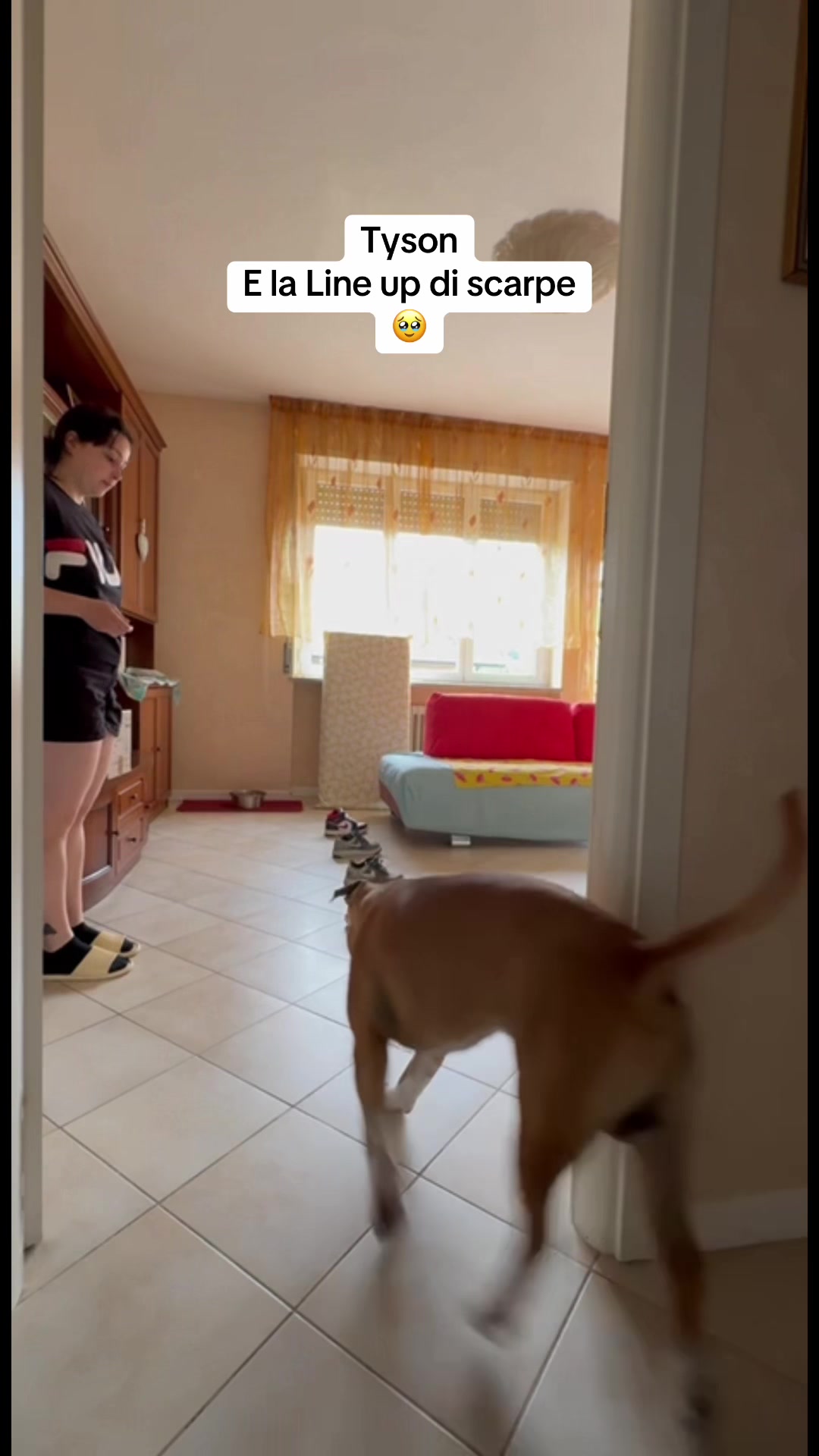 @Edopit94