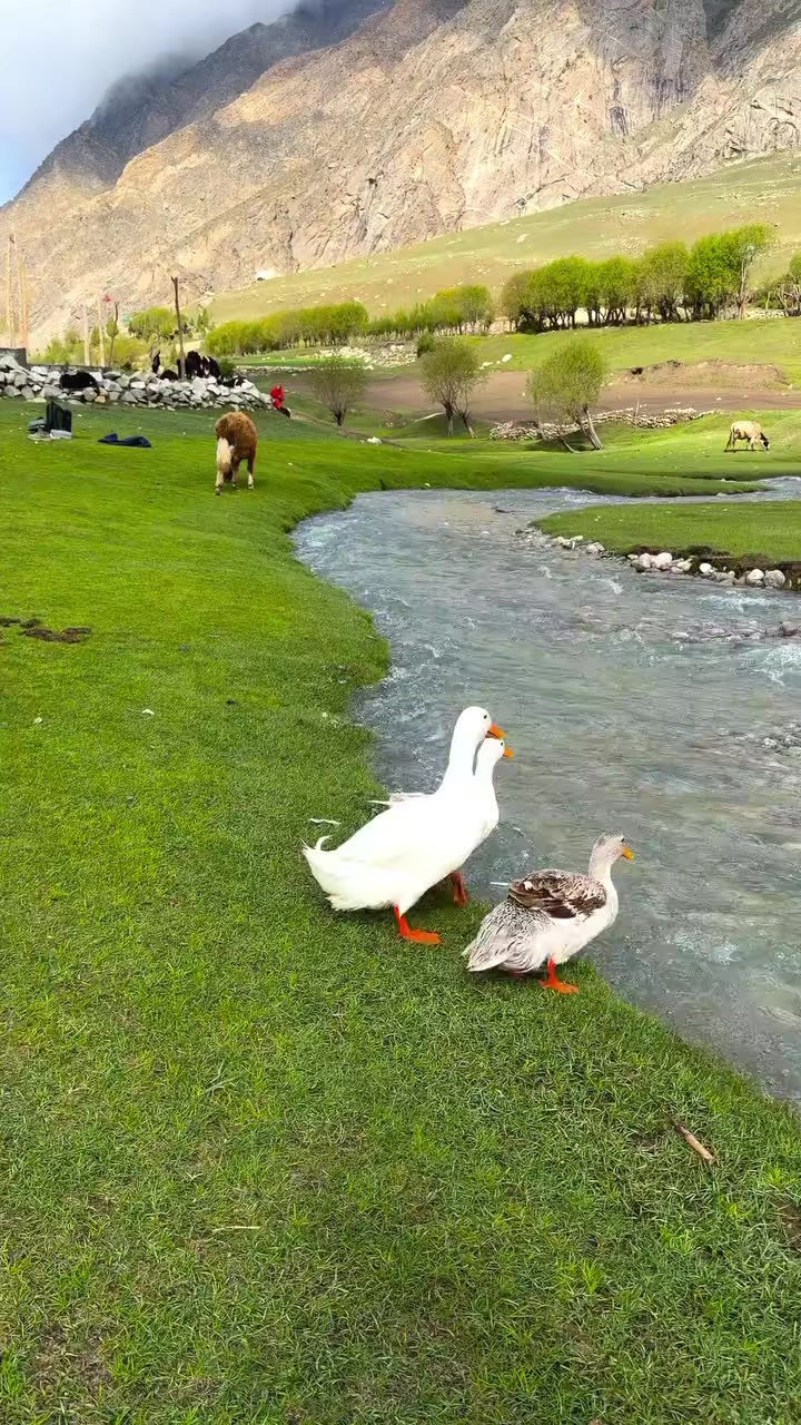 @تكسرنا الحياة ويجيرنا الله