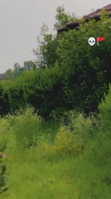 @حسرت 🫶جانی 🔥منڈی 🫂ala