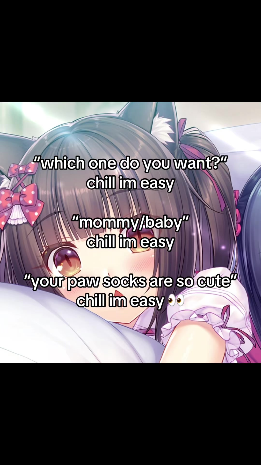 @kitty!
