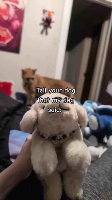 @Cake Pop Puppy