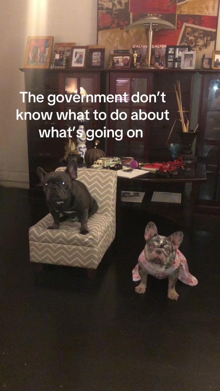 @Ira J