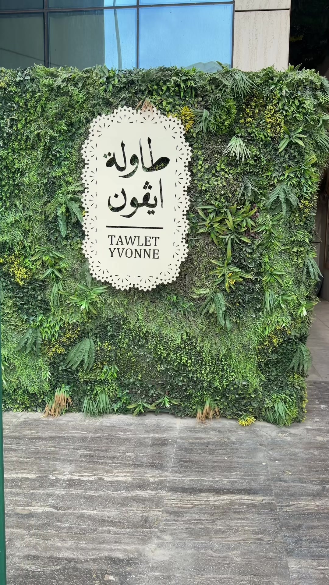 @Discover with san