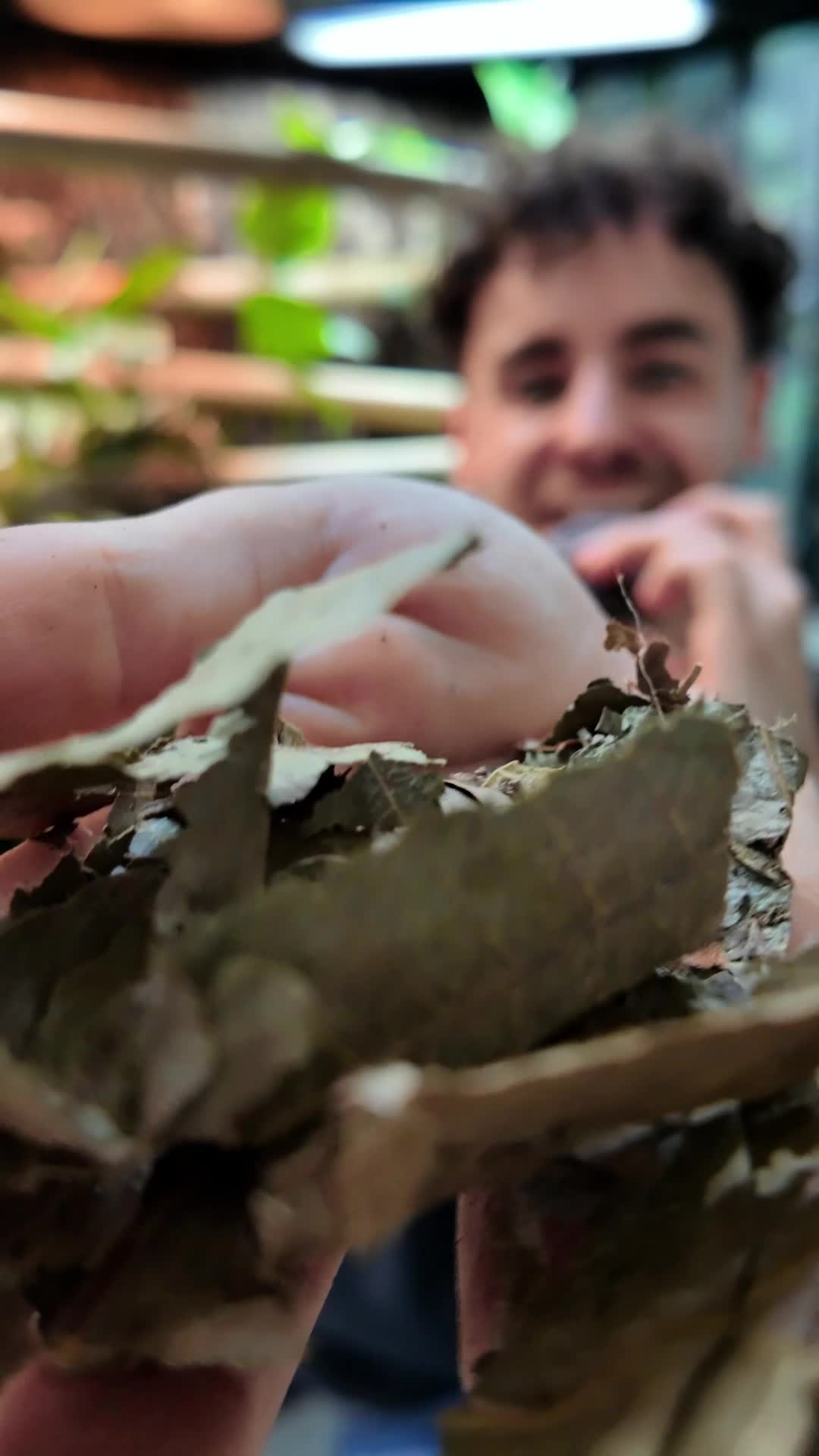 @prorep_reptile