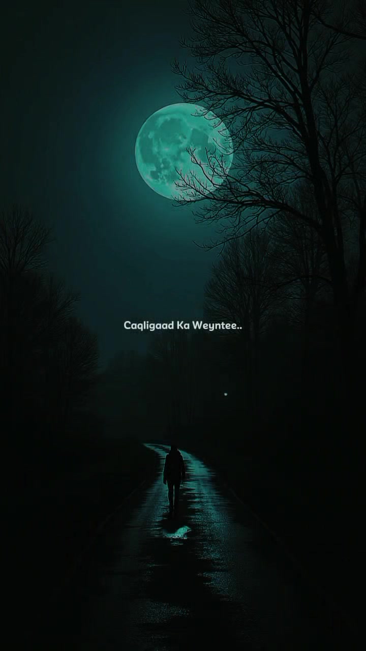 @𝗠𝗨𝗦𝗔𝗔𝗟𝗜𝗗