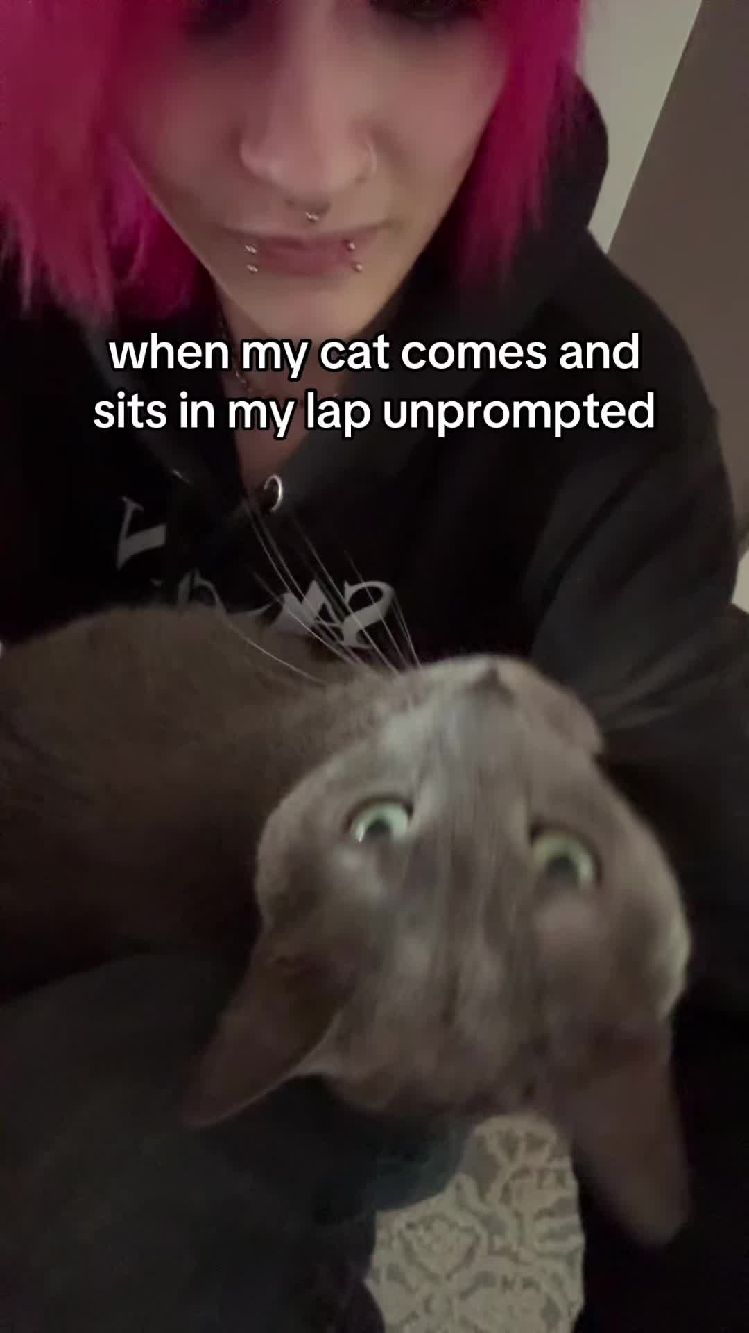 @farteytwink696969