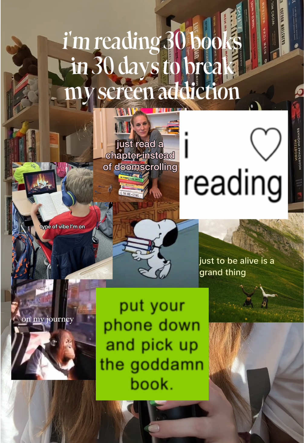 @hayley 🦢