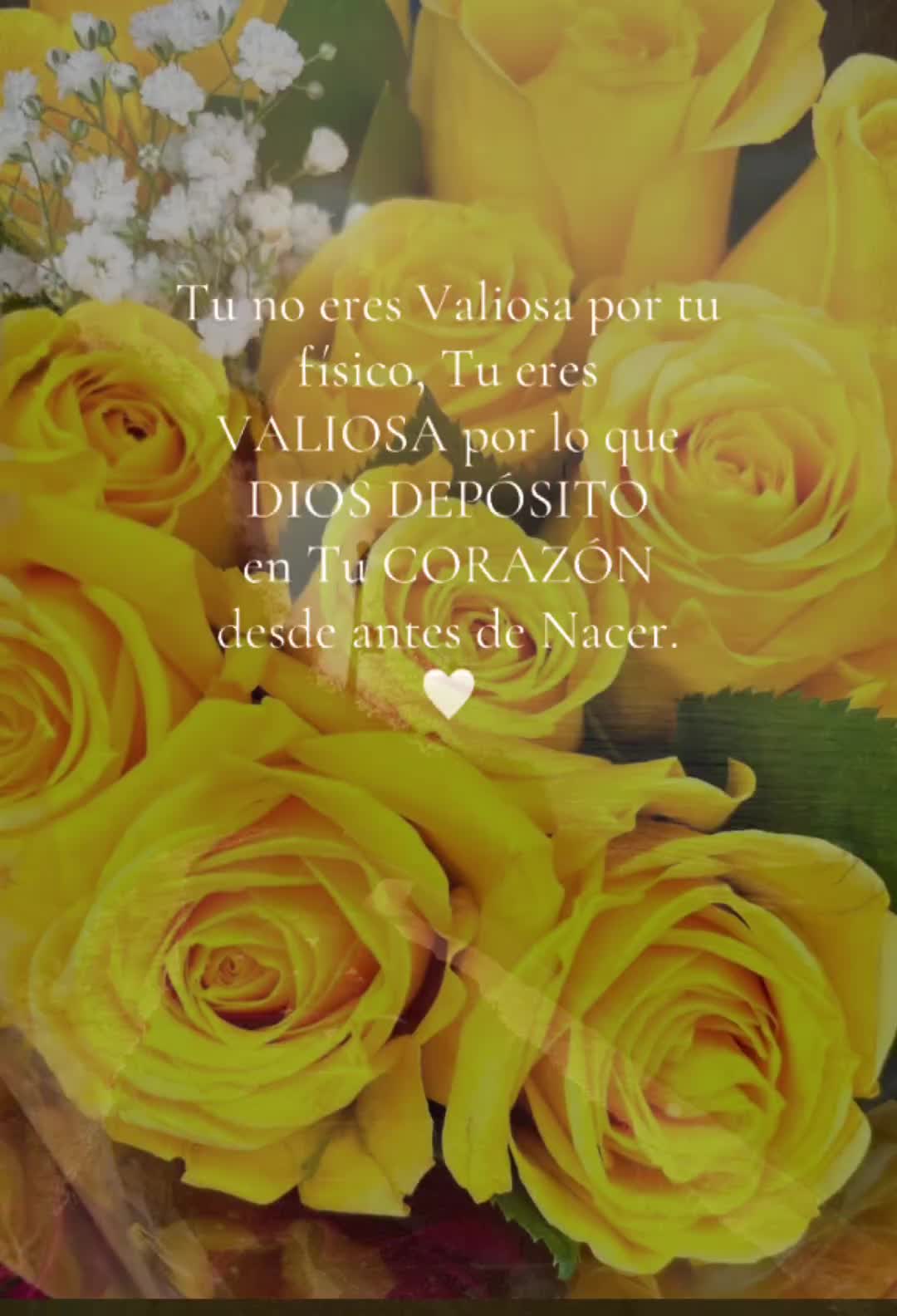 @La Señora de Tampa .