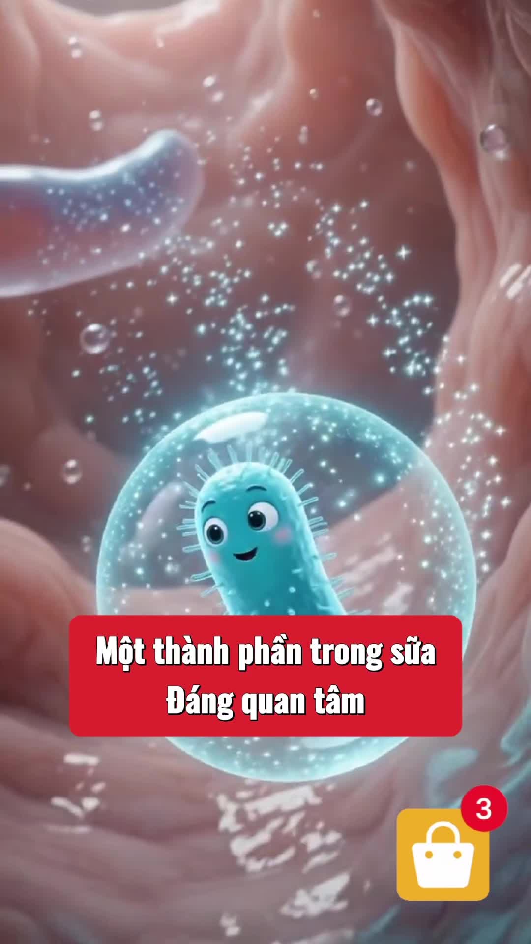 @Shop Bé Tuệ