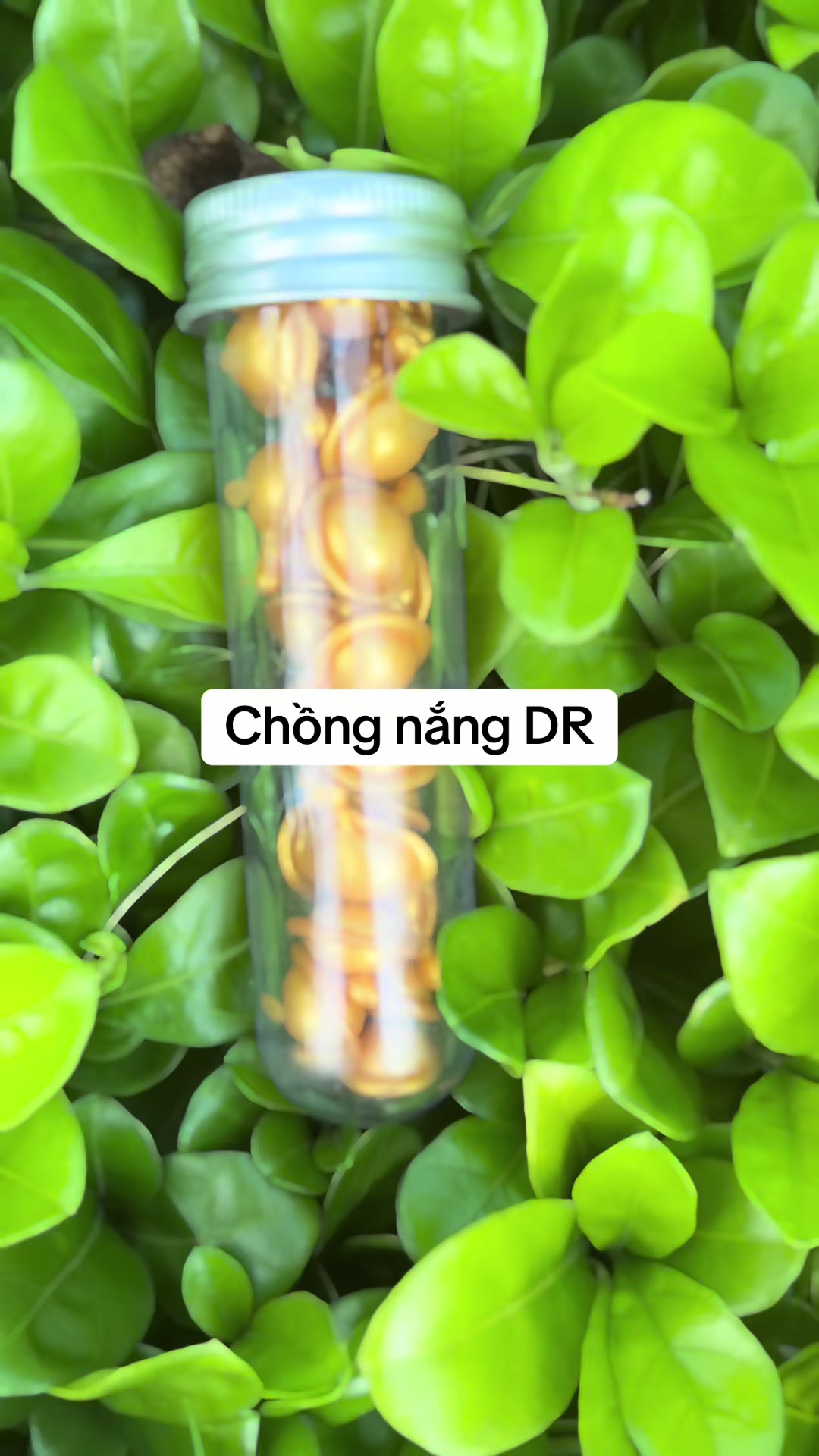 @lethiphuongdiem0