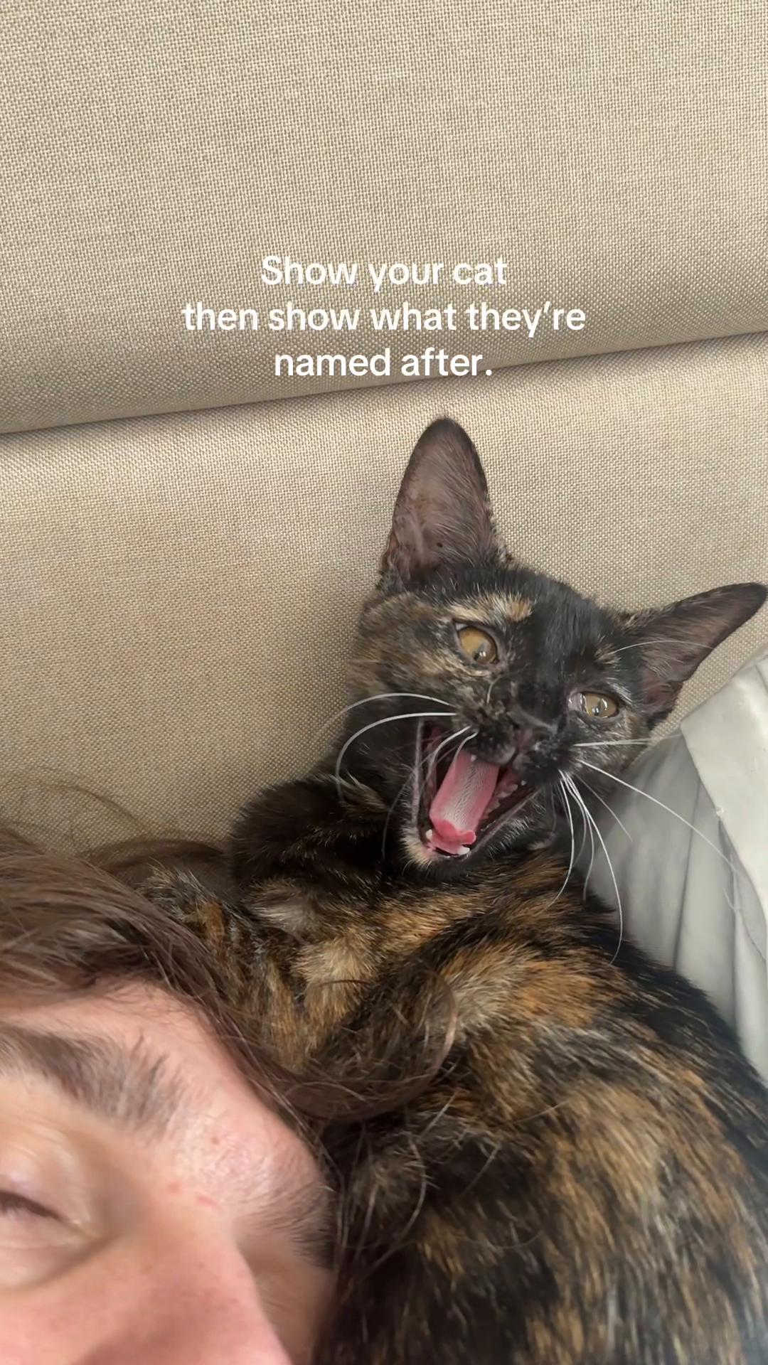 @ivylordjackson