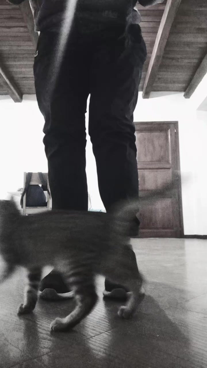 @🐦😘💓Fiorela❤🐈🐕