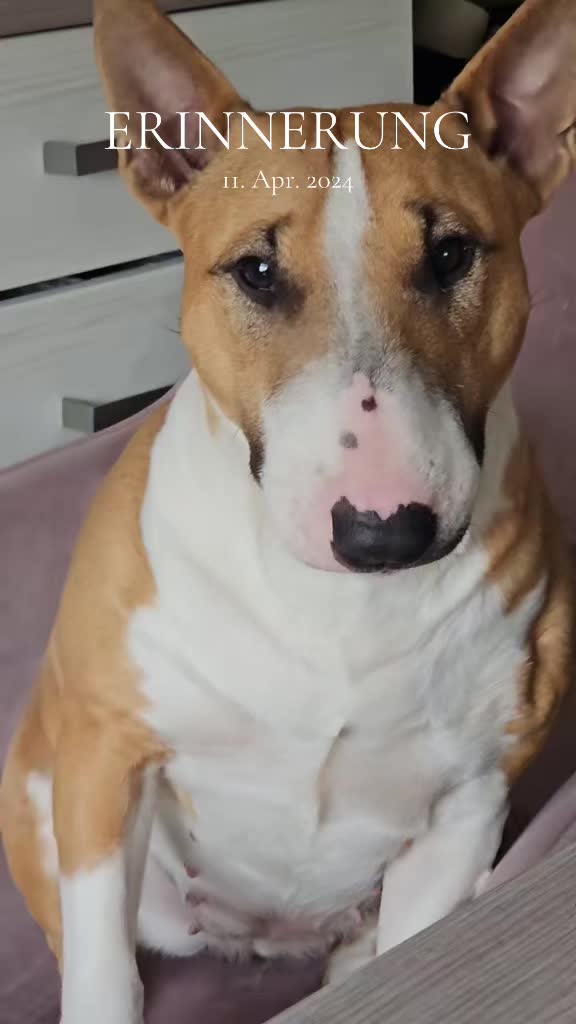 @🐕TiZi❤️🔥