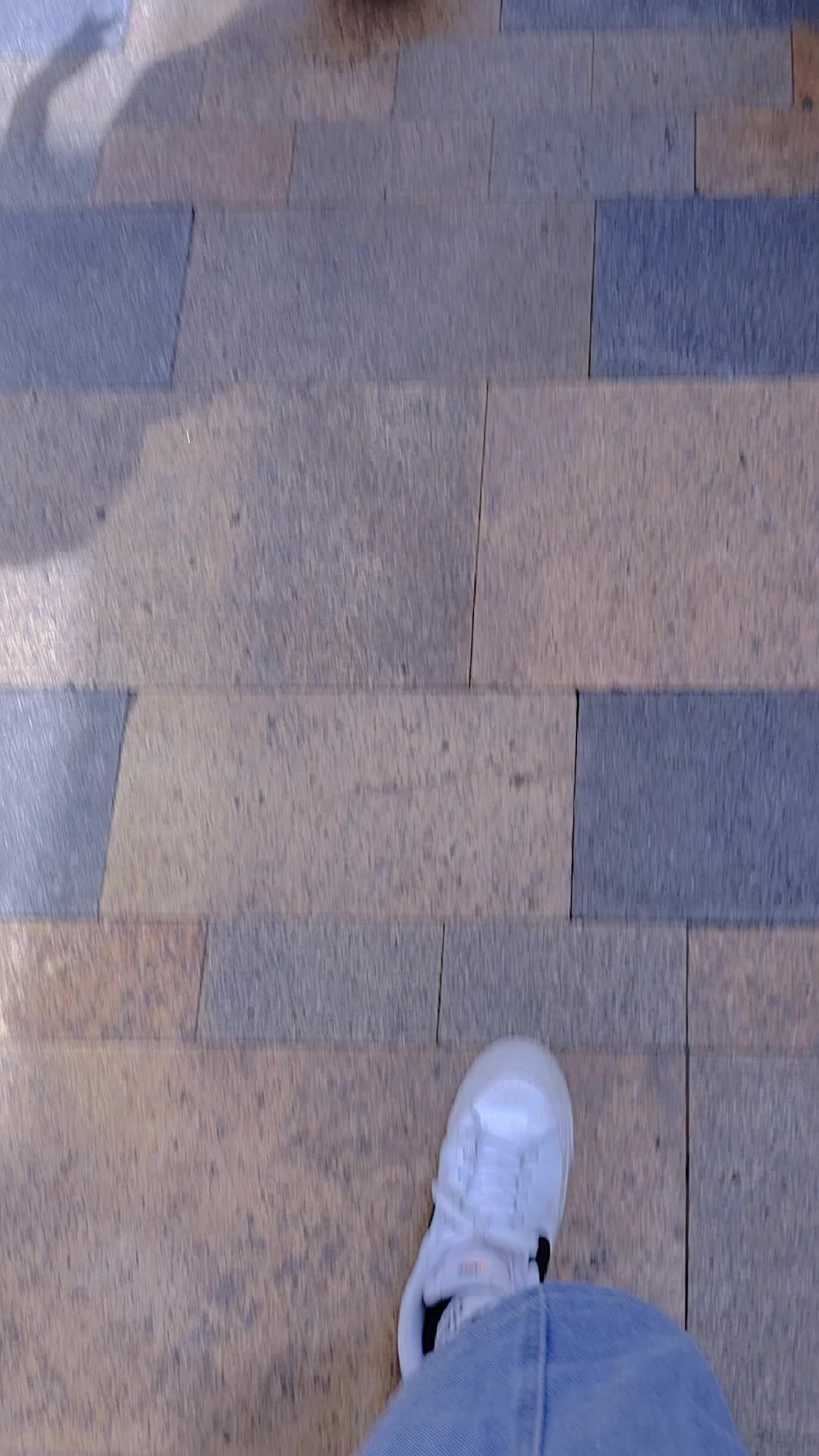 @sitikhalimah483