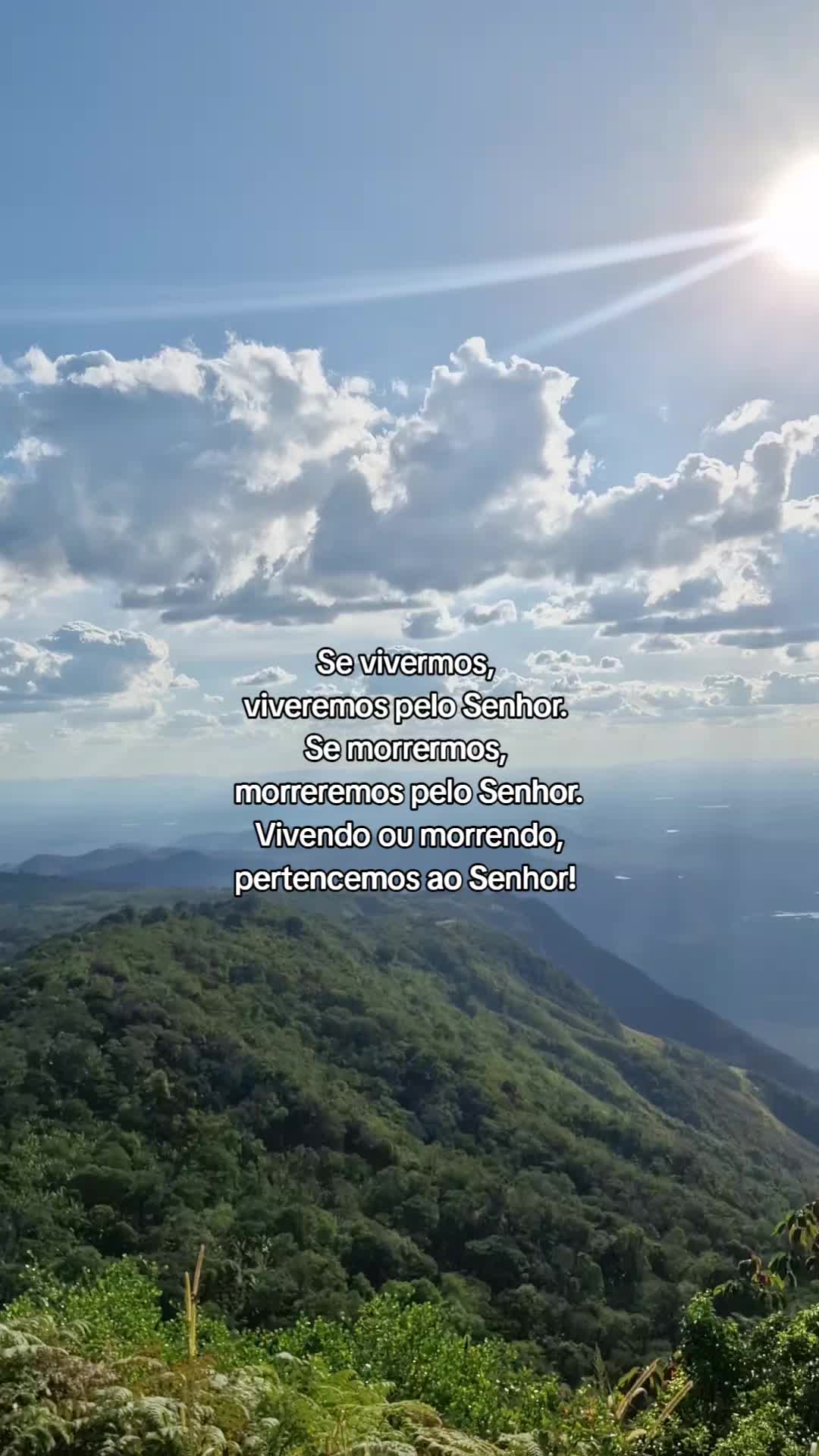 @Matheus Cavalcante