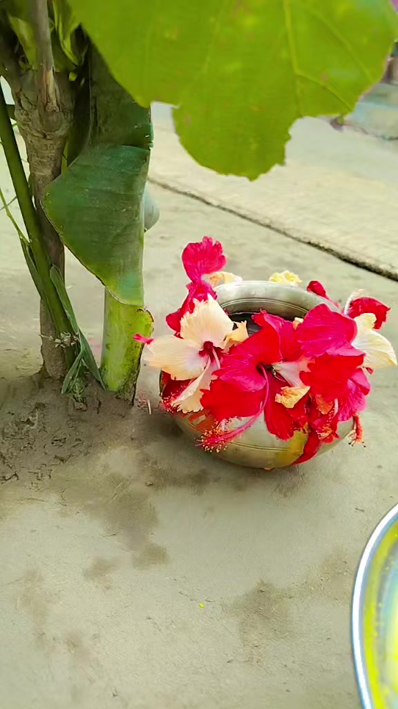 @sulomahato10