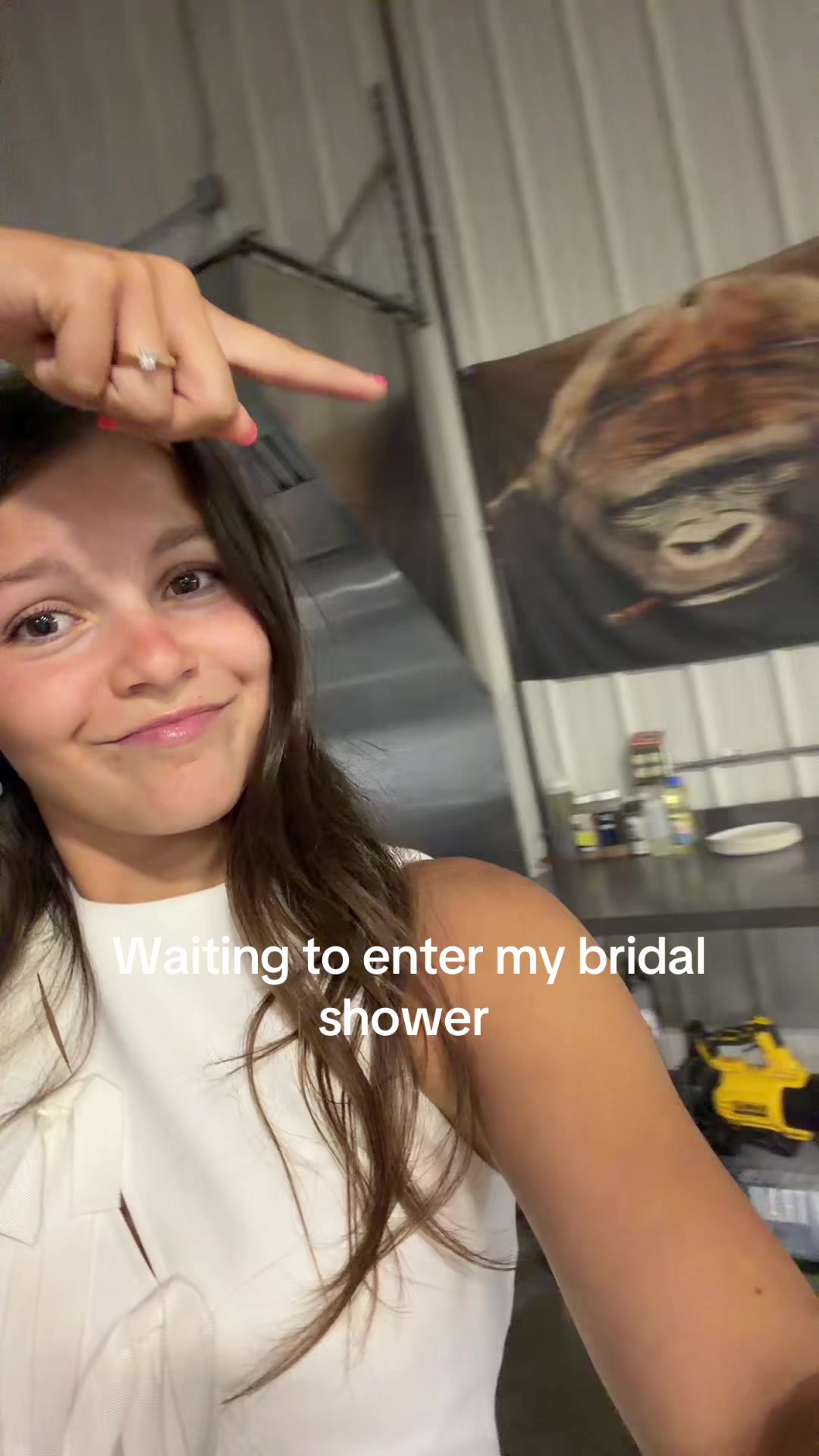 @haylee