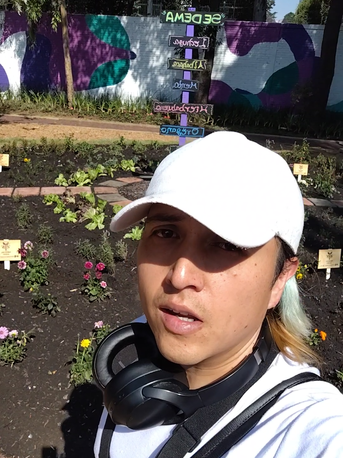 @🇲🇽M&Eacute;XICO4TENOCHTITLAN🇲🇽