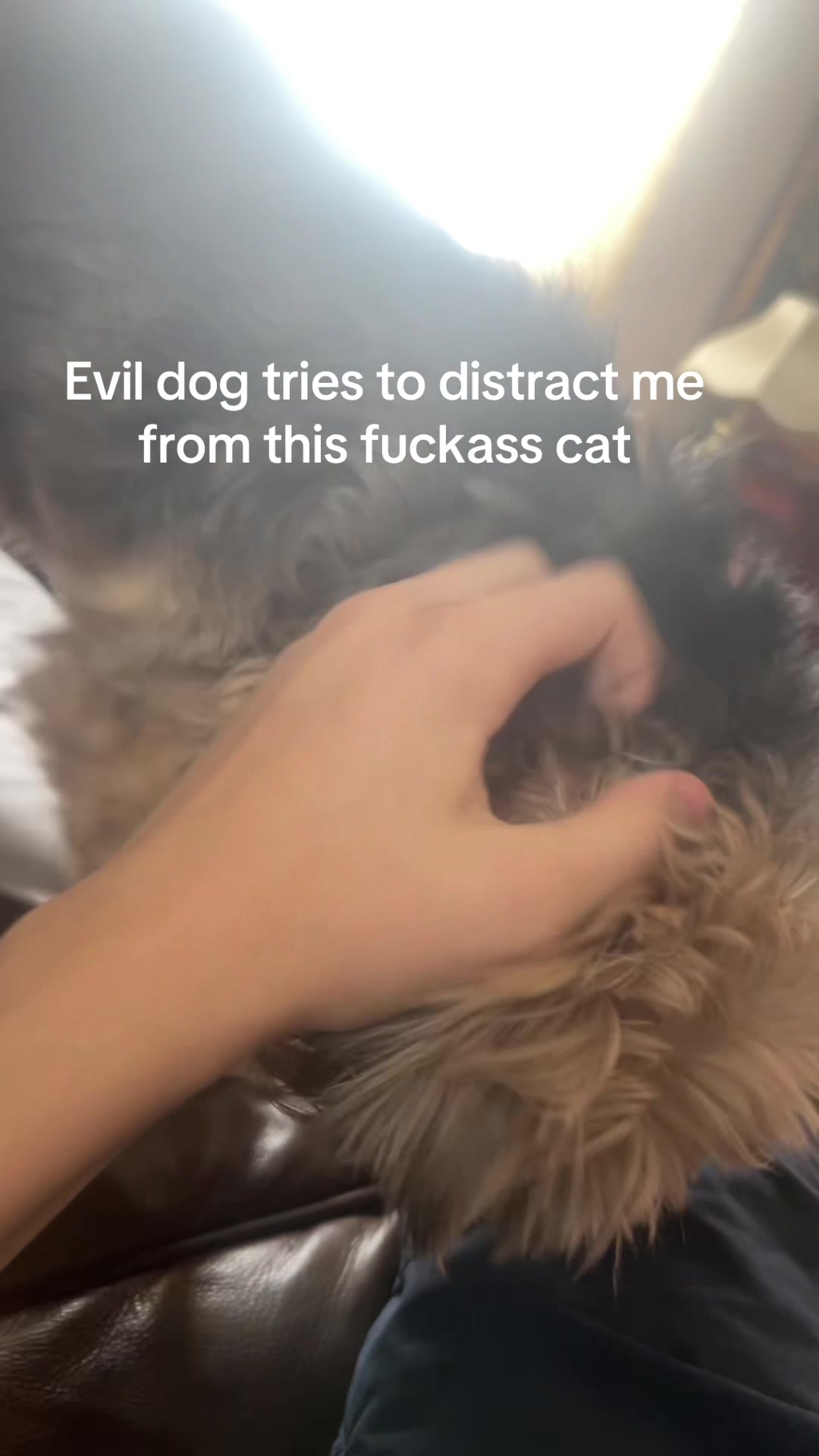 @calmluhfemboy0