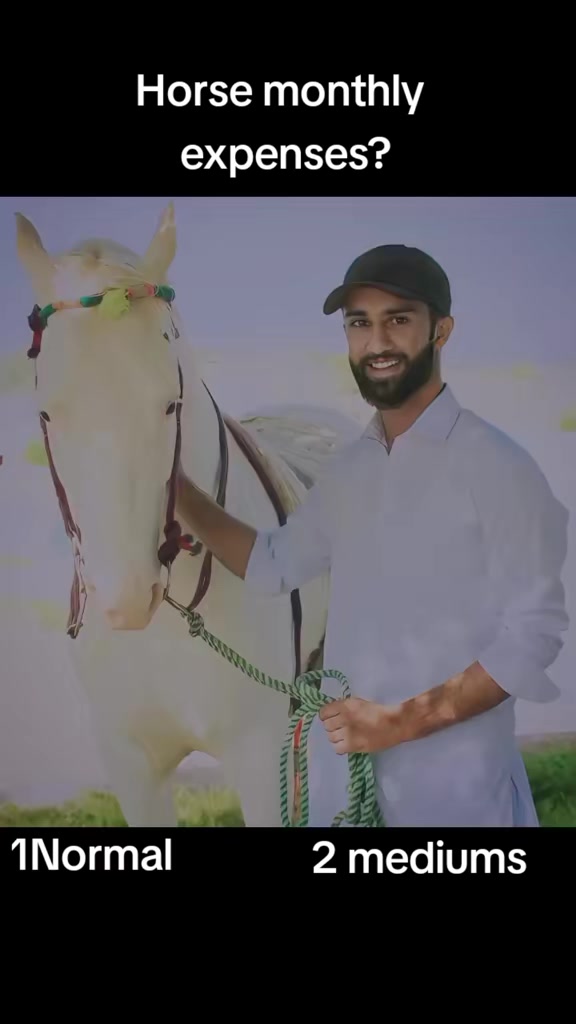 @hamara village sipyala🐴🐎🇵🇰
