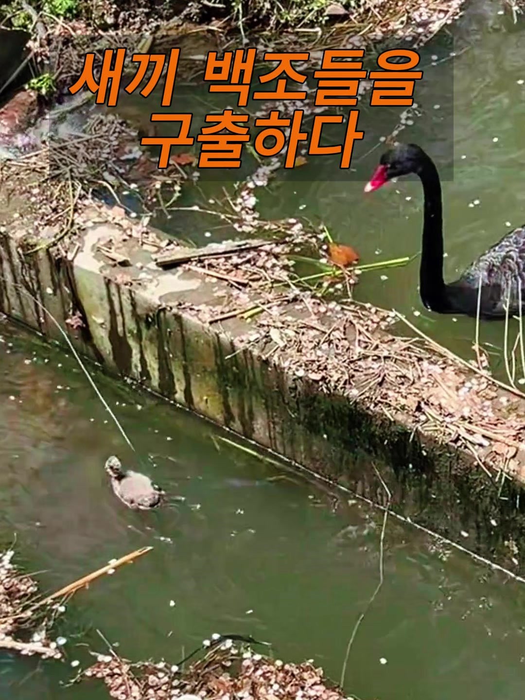 @삼촌Cut2025