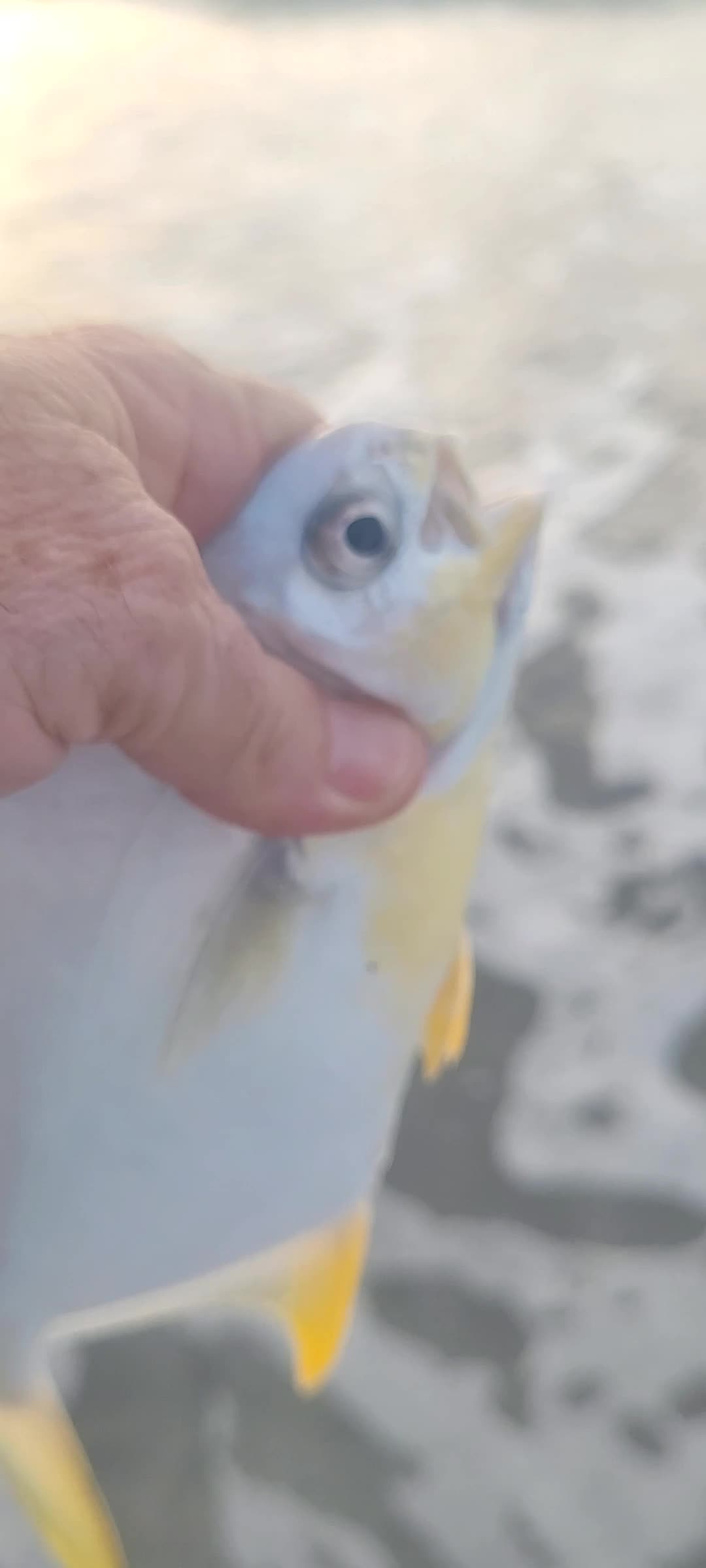 @Ghost of Space Coast Fishing