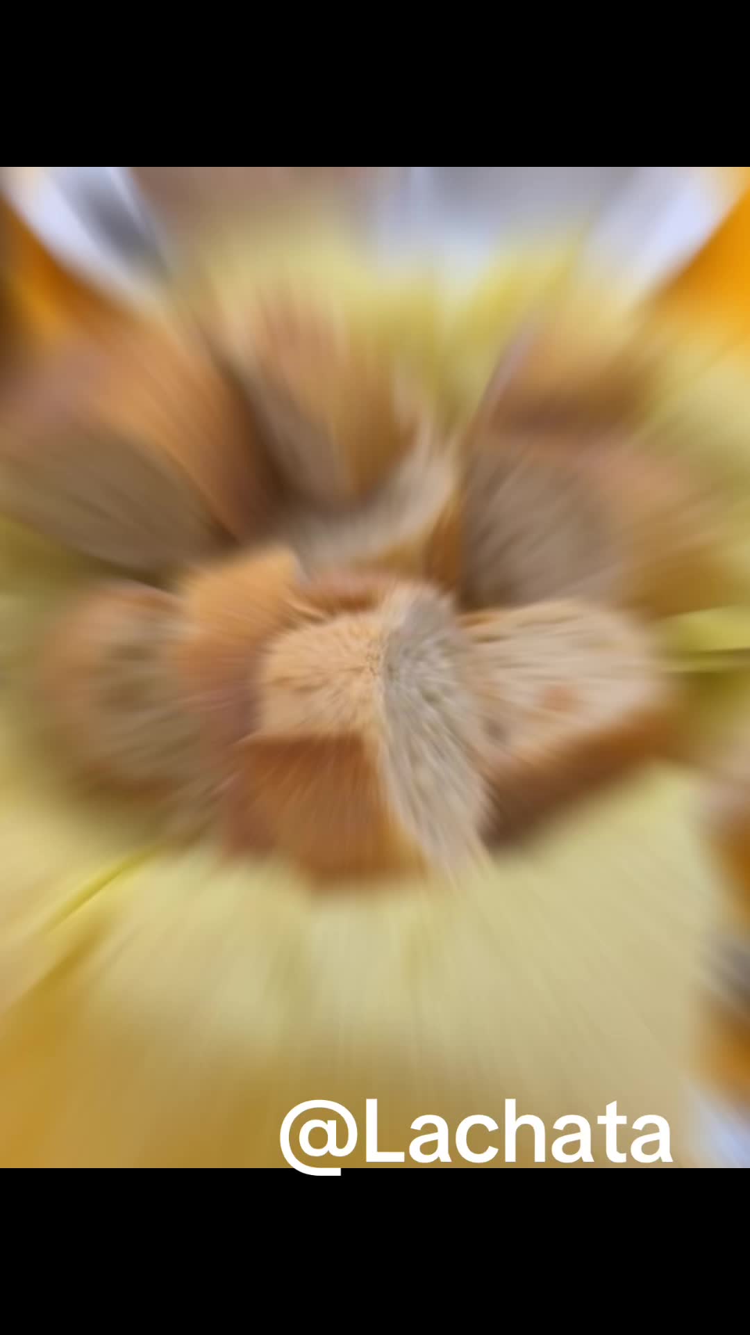 @MUN3KA