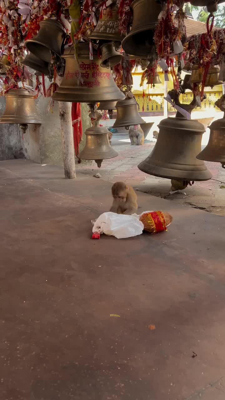 @@BajrangDalbirganjjila🙏🙏