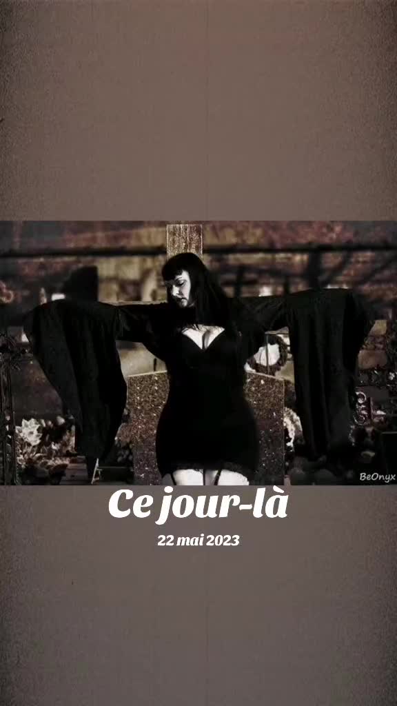 @🦇Abbey Von Stein🦇