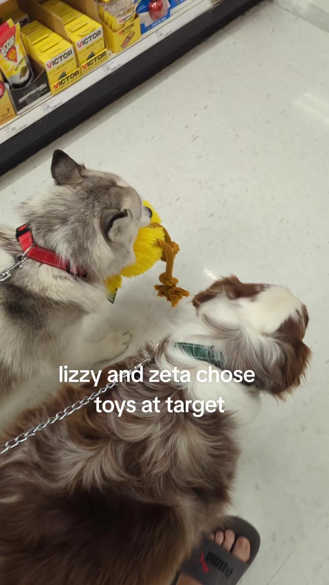 @Lizzy and Zeta