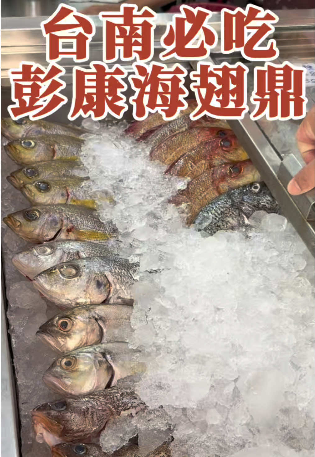 @默默帶你飛✈️