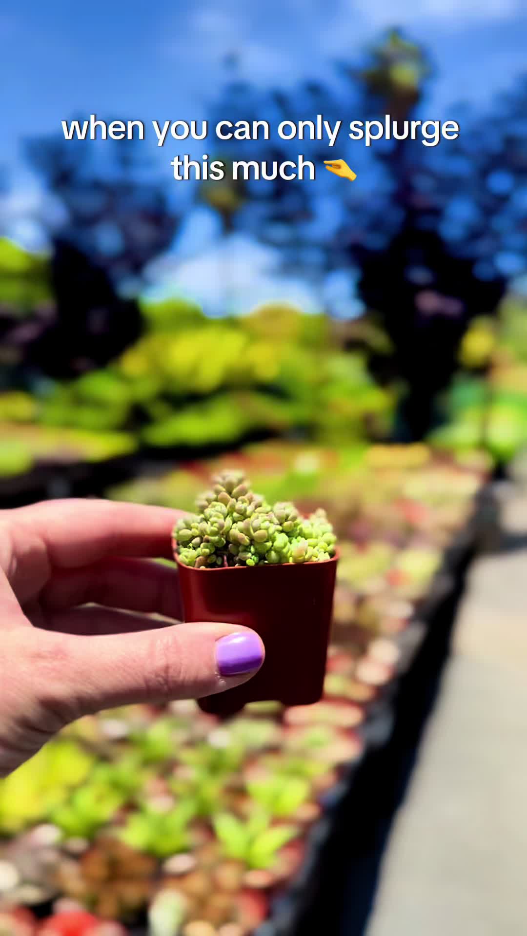 @Kristina 🌱