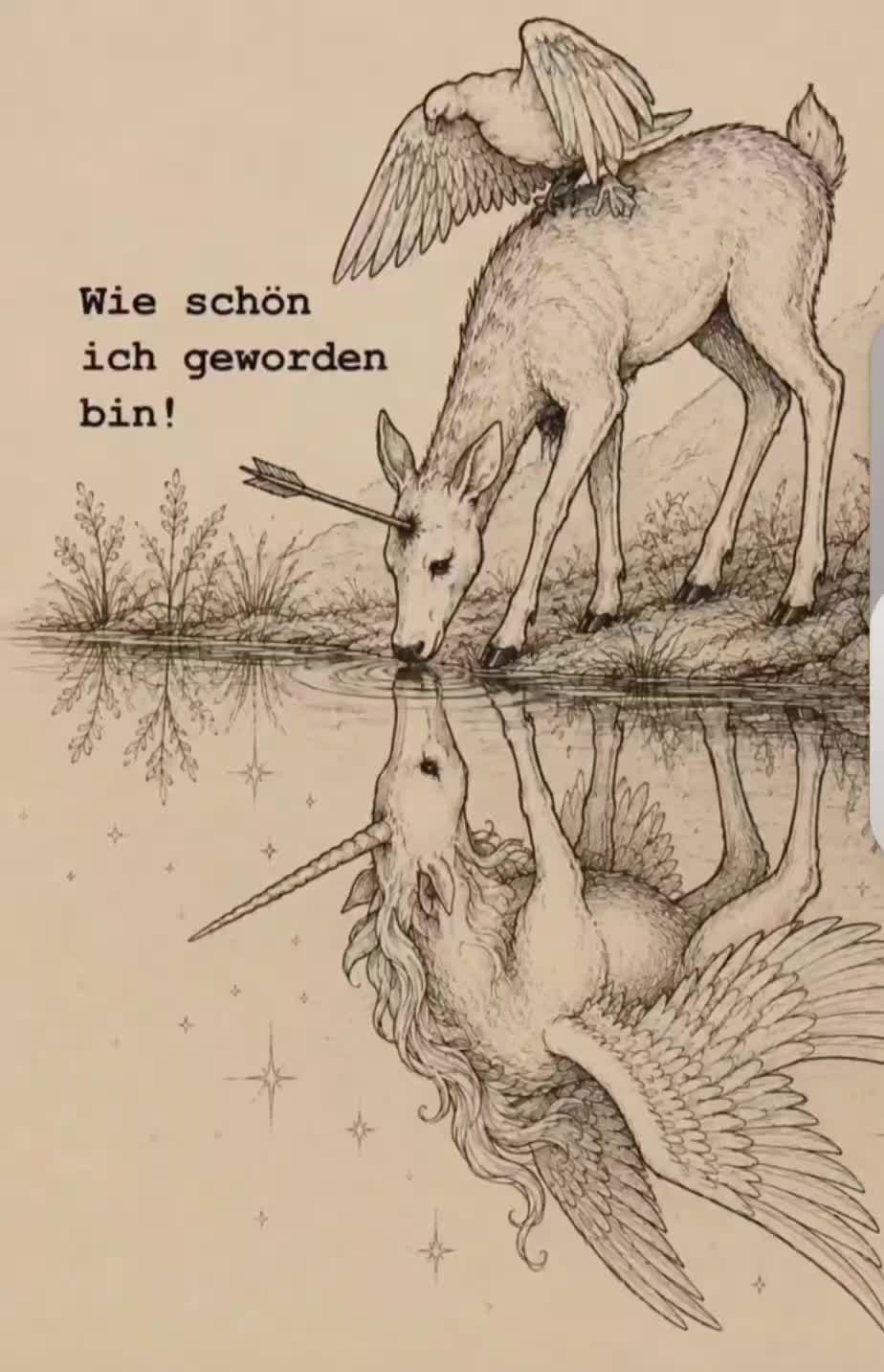 @𝕶☧×x̌X̌✖️🕉9999🕉✖️X̌x̌×☧𝕶