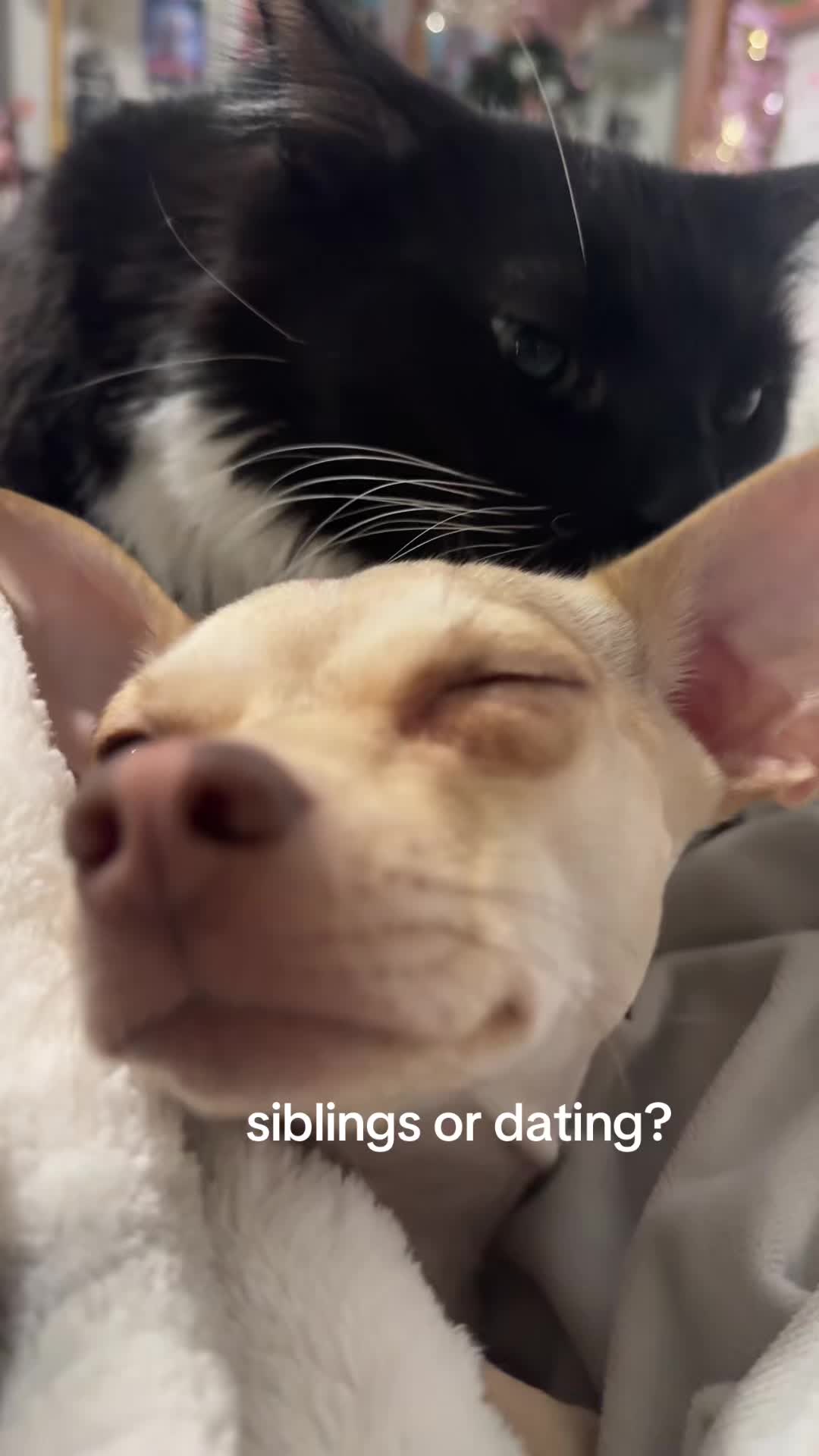 @Megan