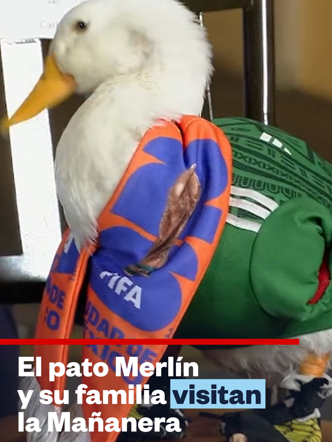 @Noticias Telemundo