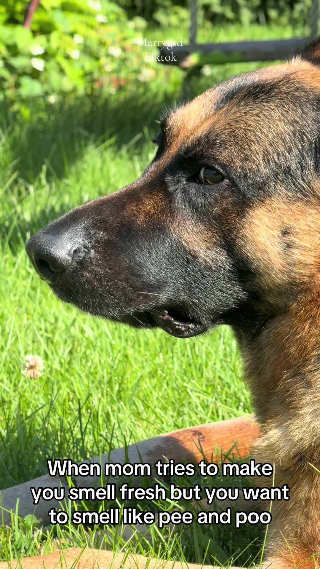 @Martygsd
