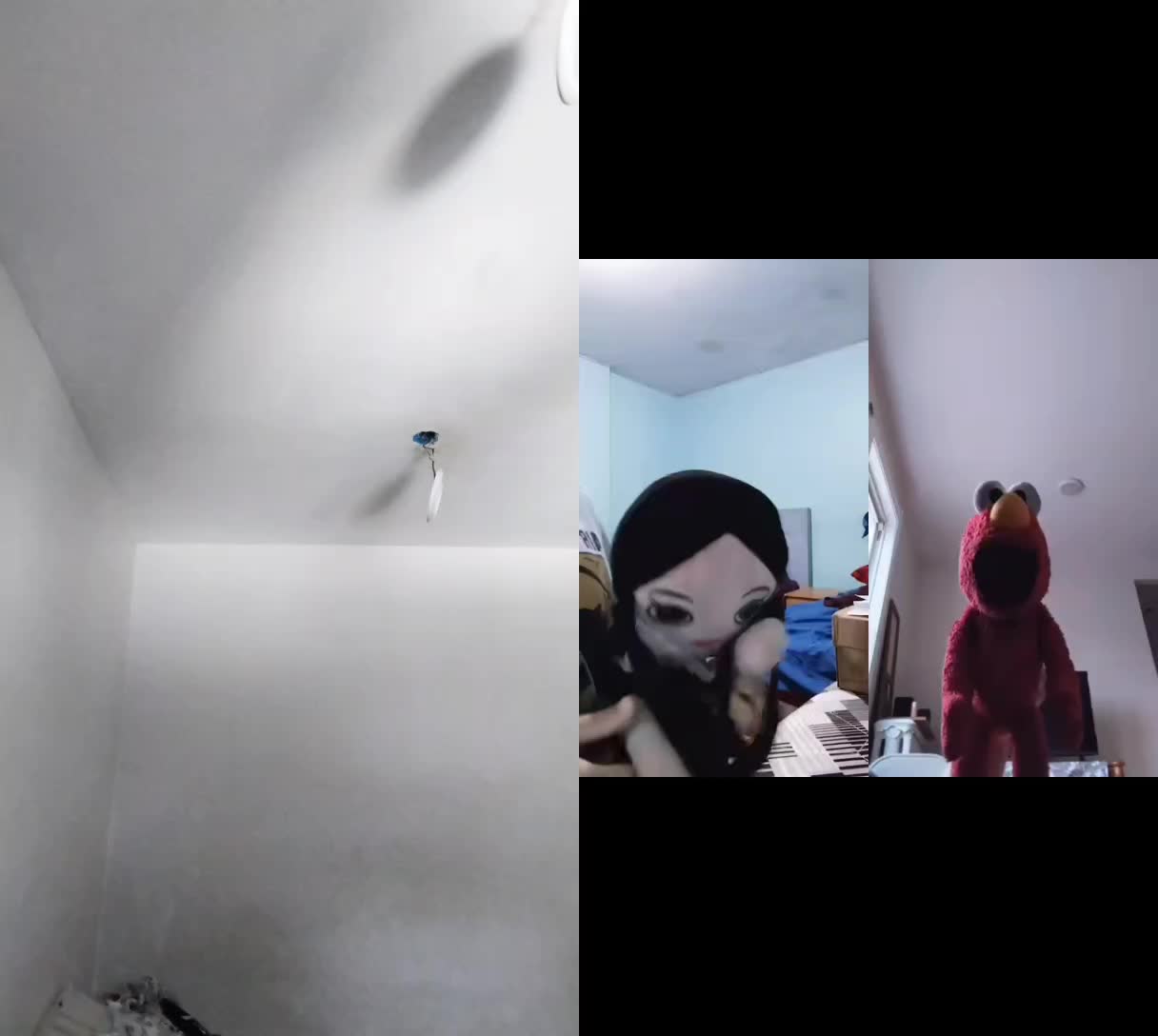 @Kermit The Frog Tiktok