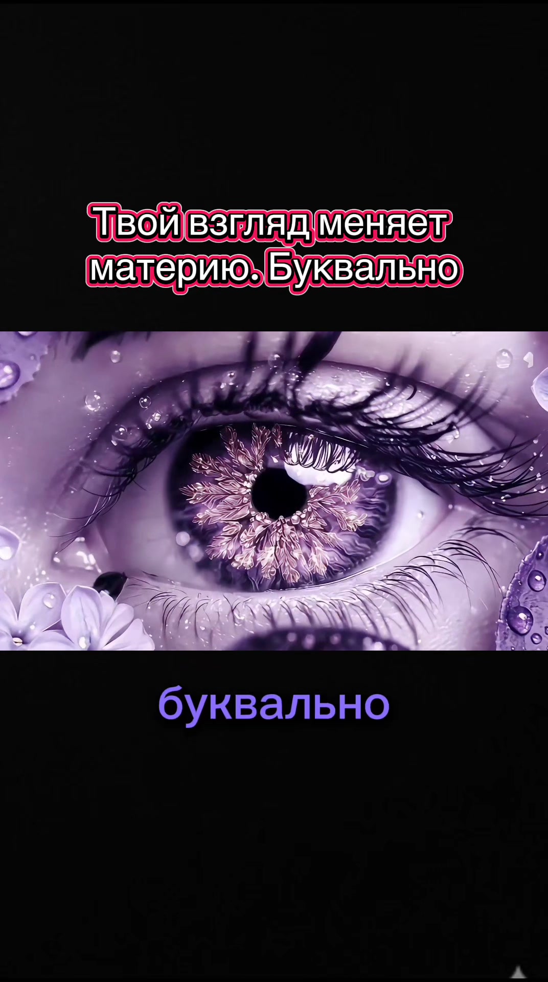 @🔮INVICTORIS🔮