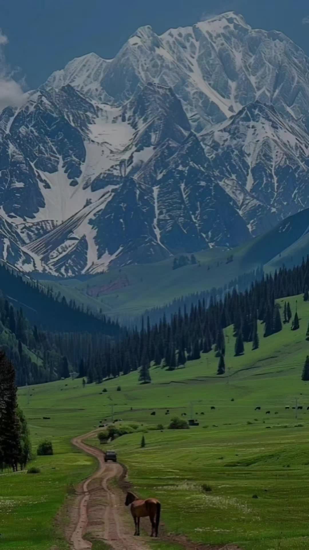 @aitysh_duinosu