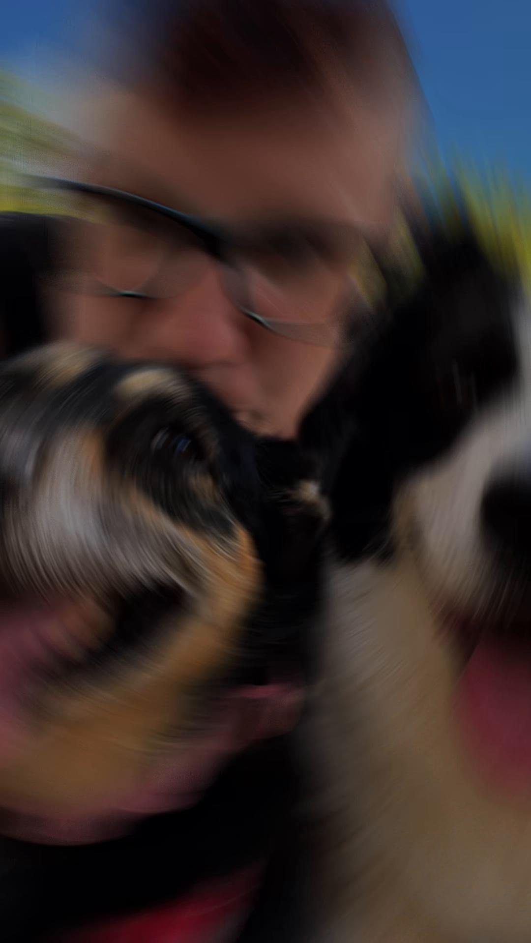 @PfotenwegeMitRoxy🐶