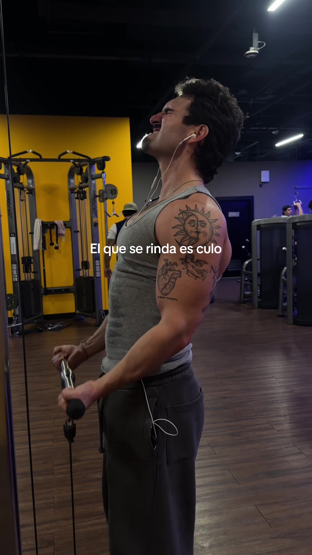 @netoroxs