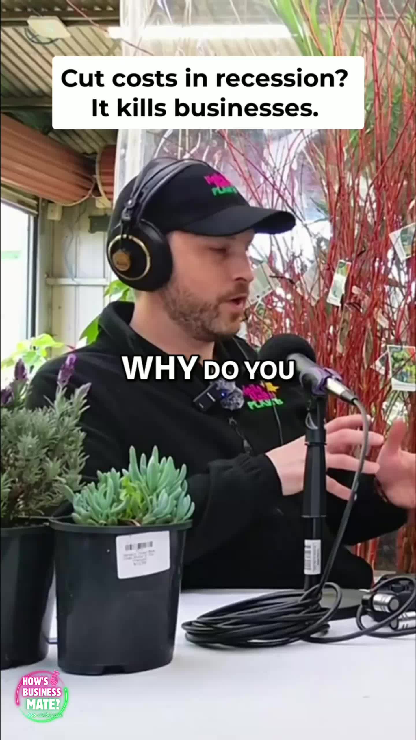@Hello Hello Plants Nursery