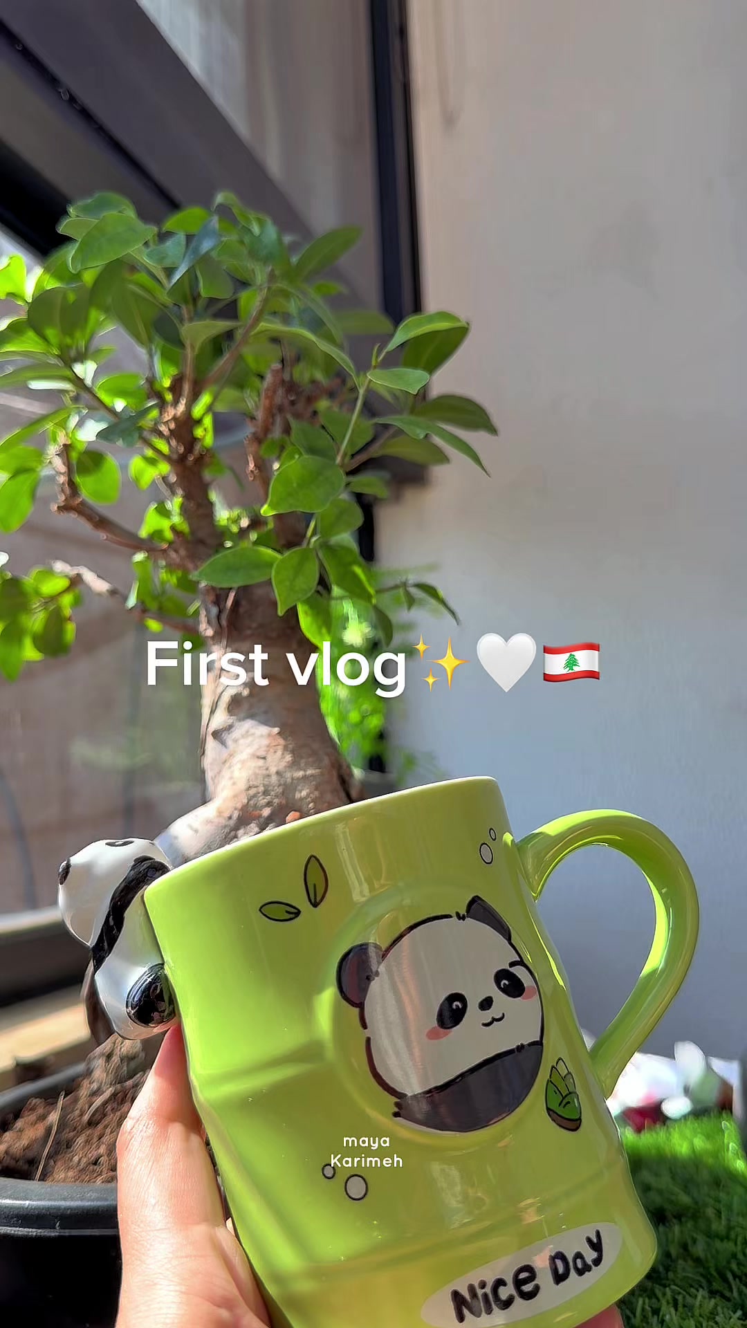 @MAYA O. Karimeh