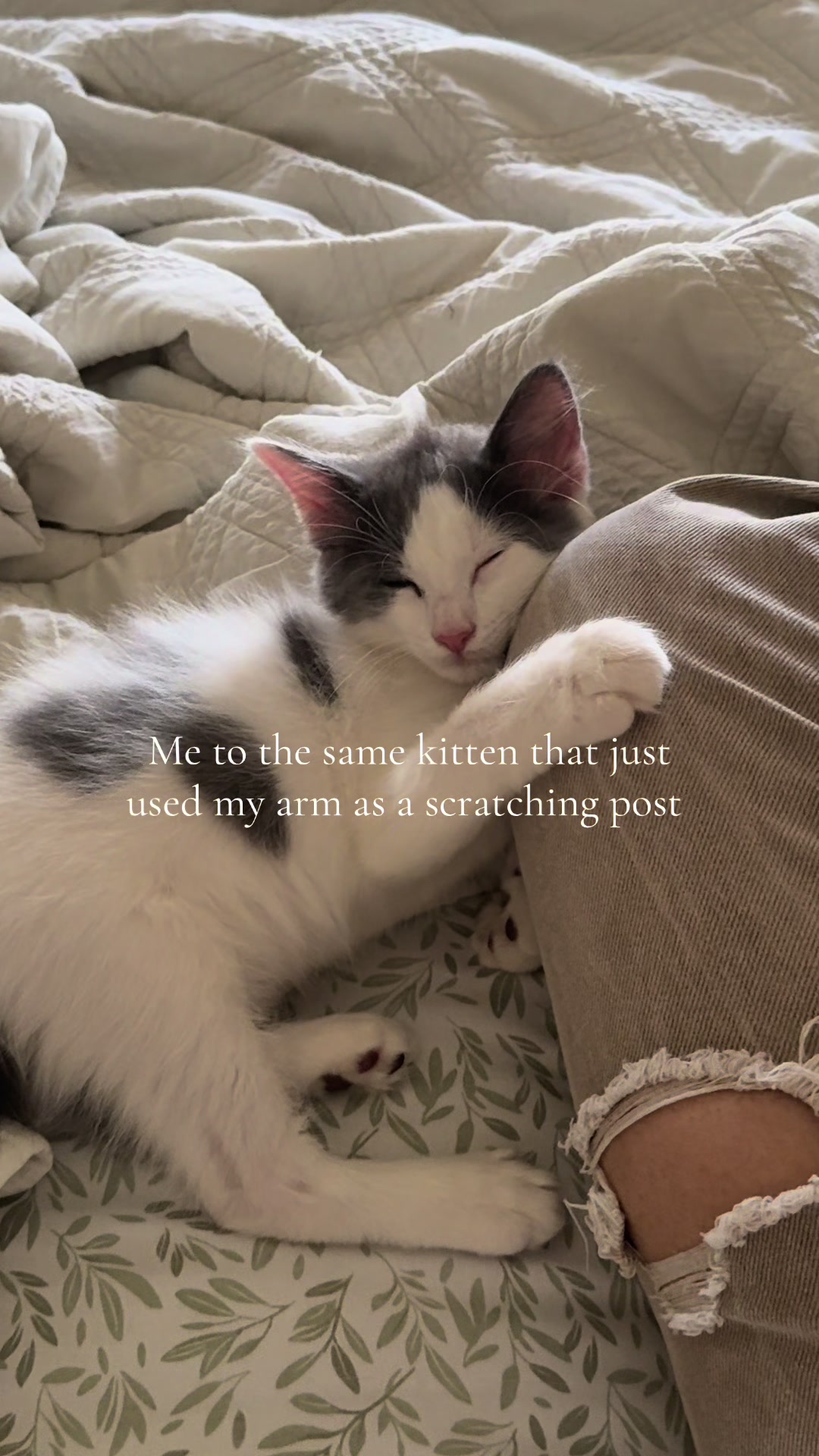 @M E G