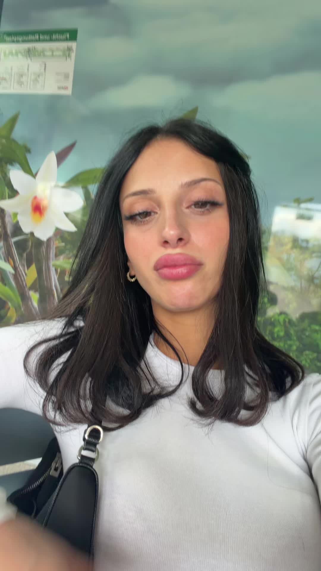 @nazlitov