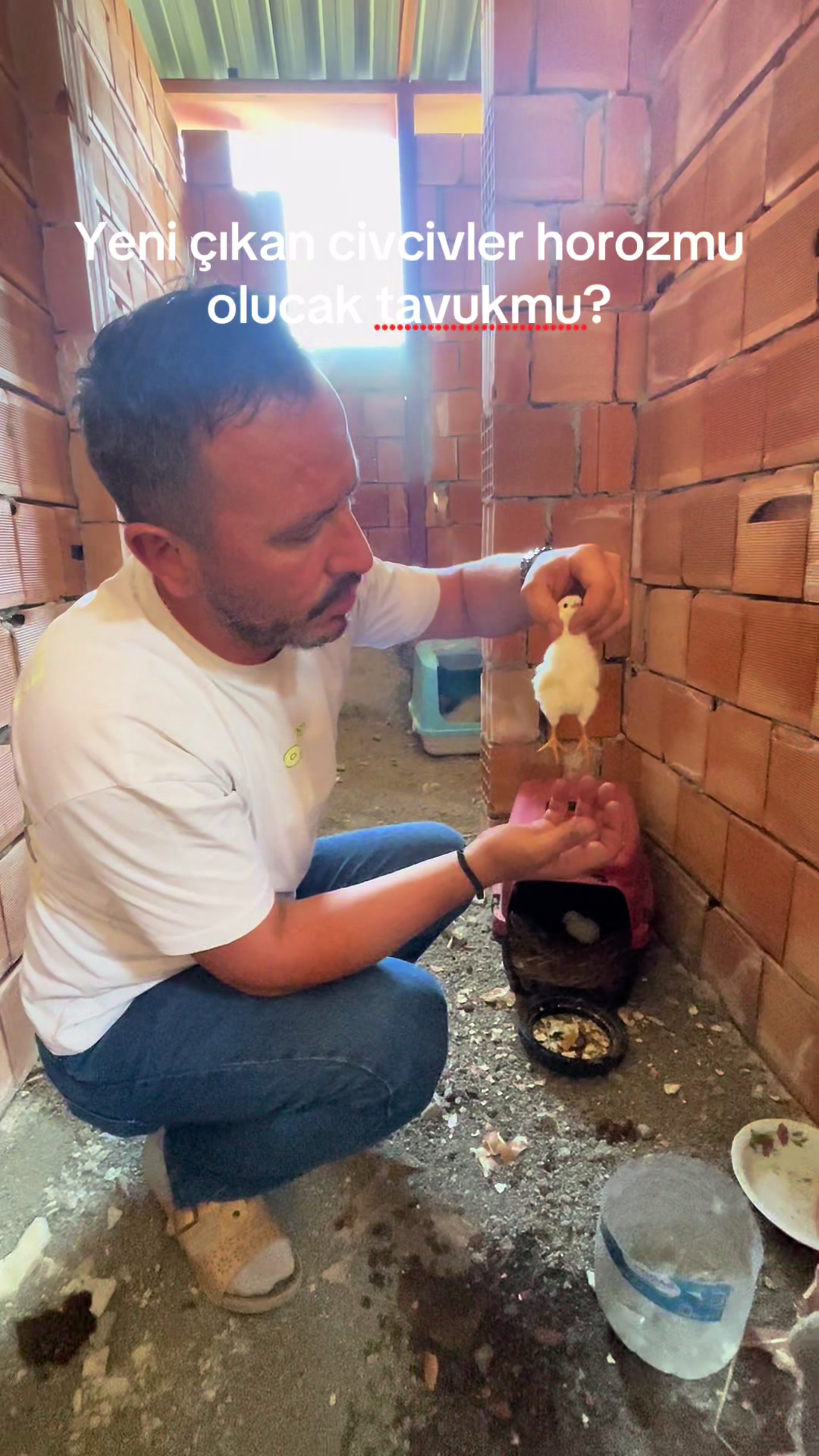 @İsa şahiner🪴