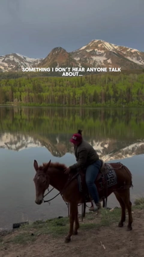 @wild.horsewoman