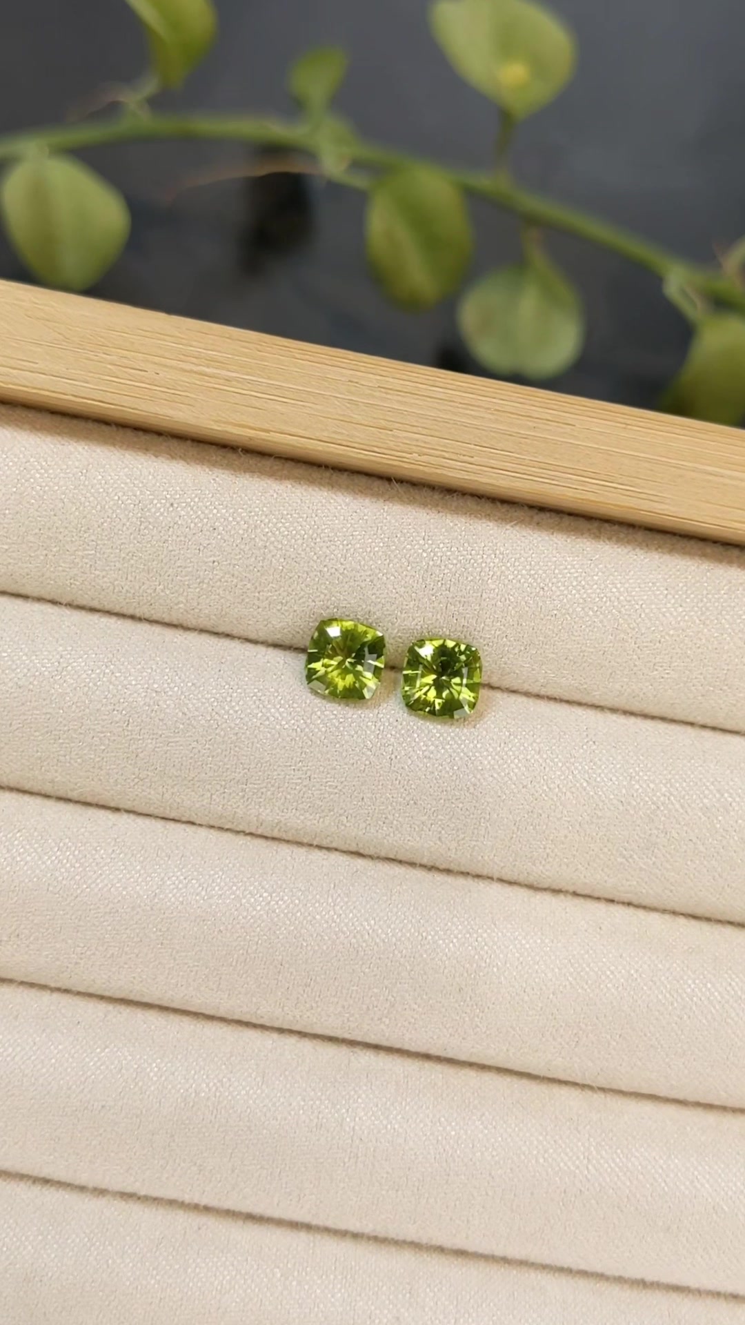 @thenaturalgemstone