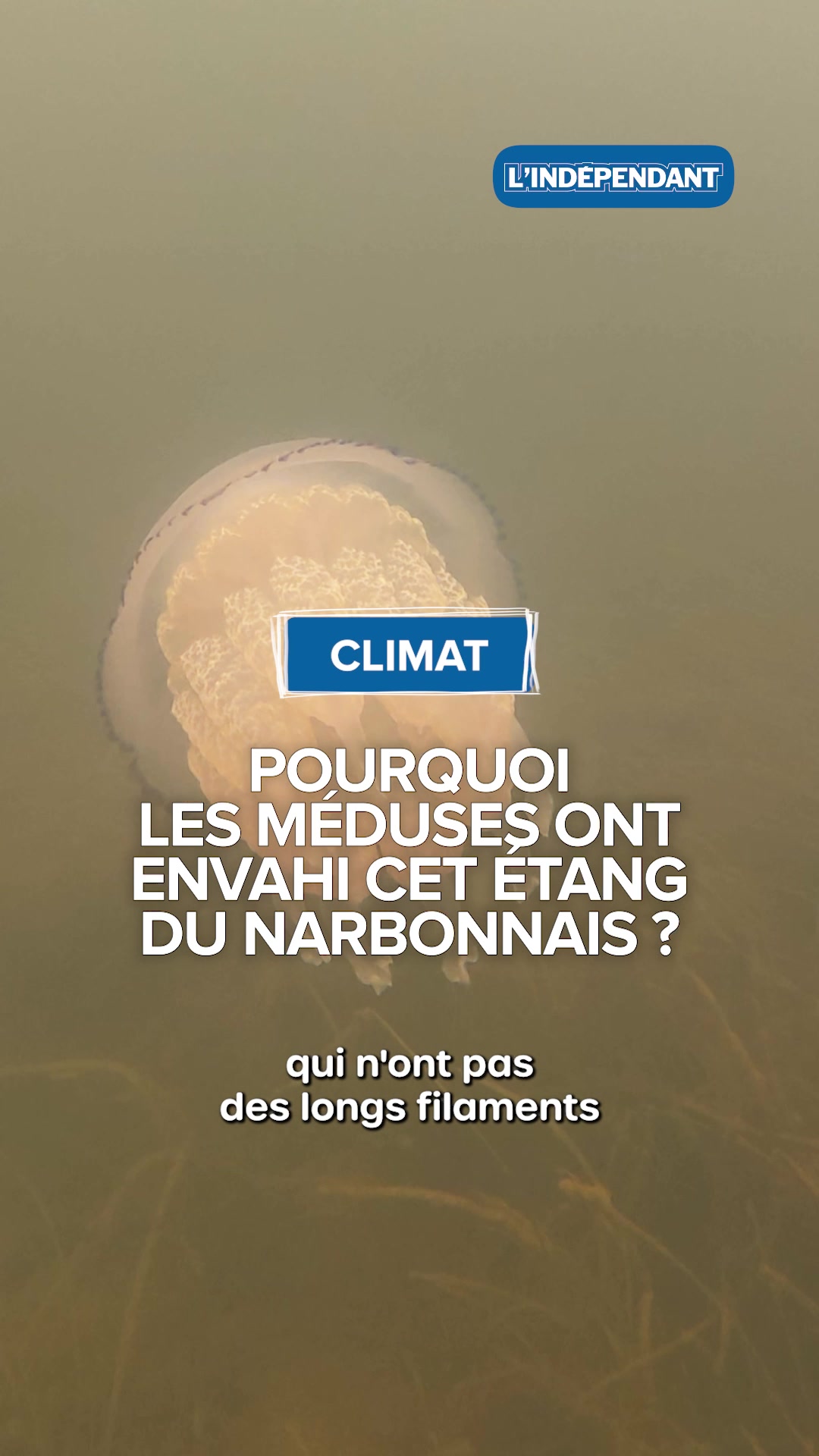 @L'Indépendant